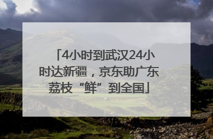 4小时到武汉24小时达新疆，京东助广东荔枝“鲜”到全国